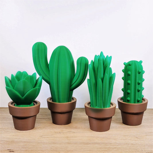 Assorted Succulents
