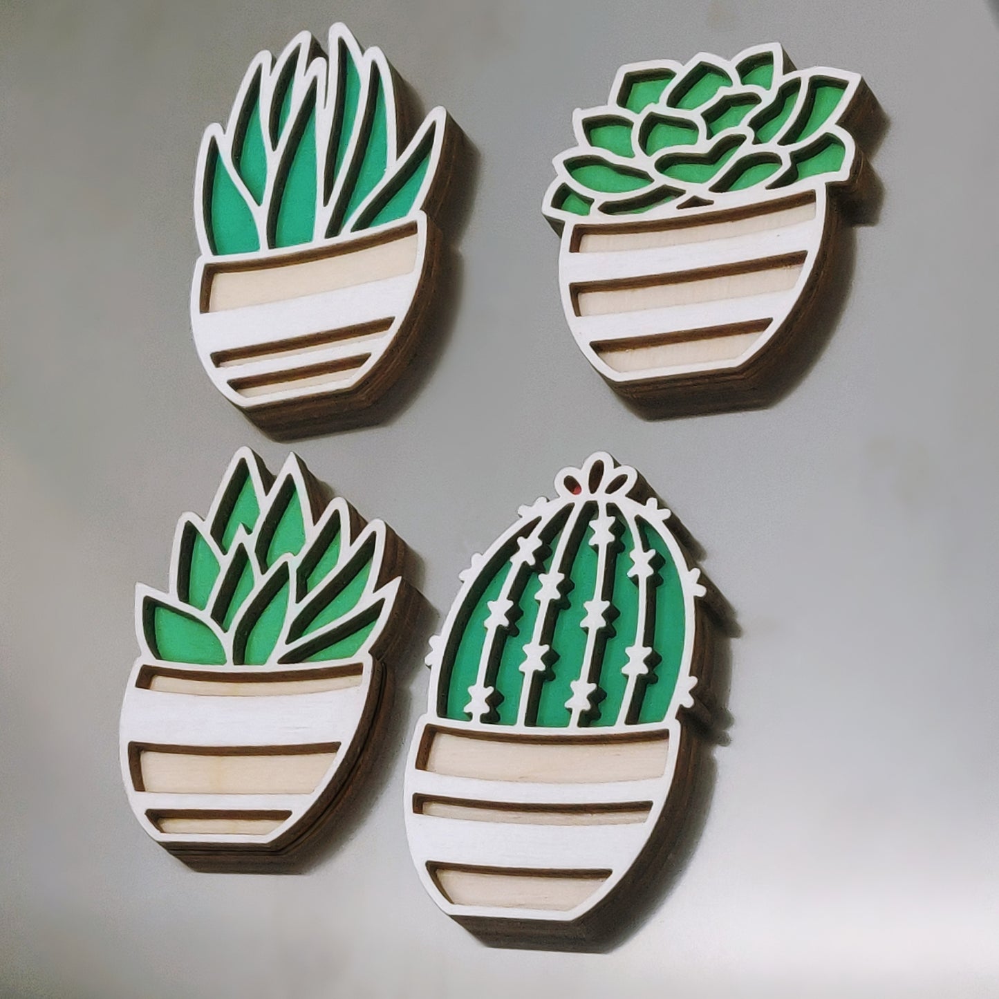 Succulent Magnets, Set of 4