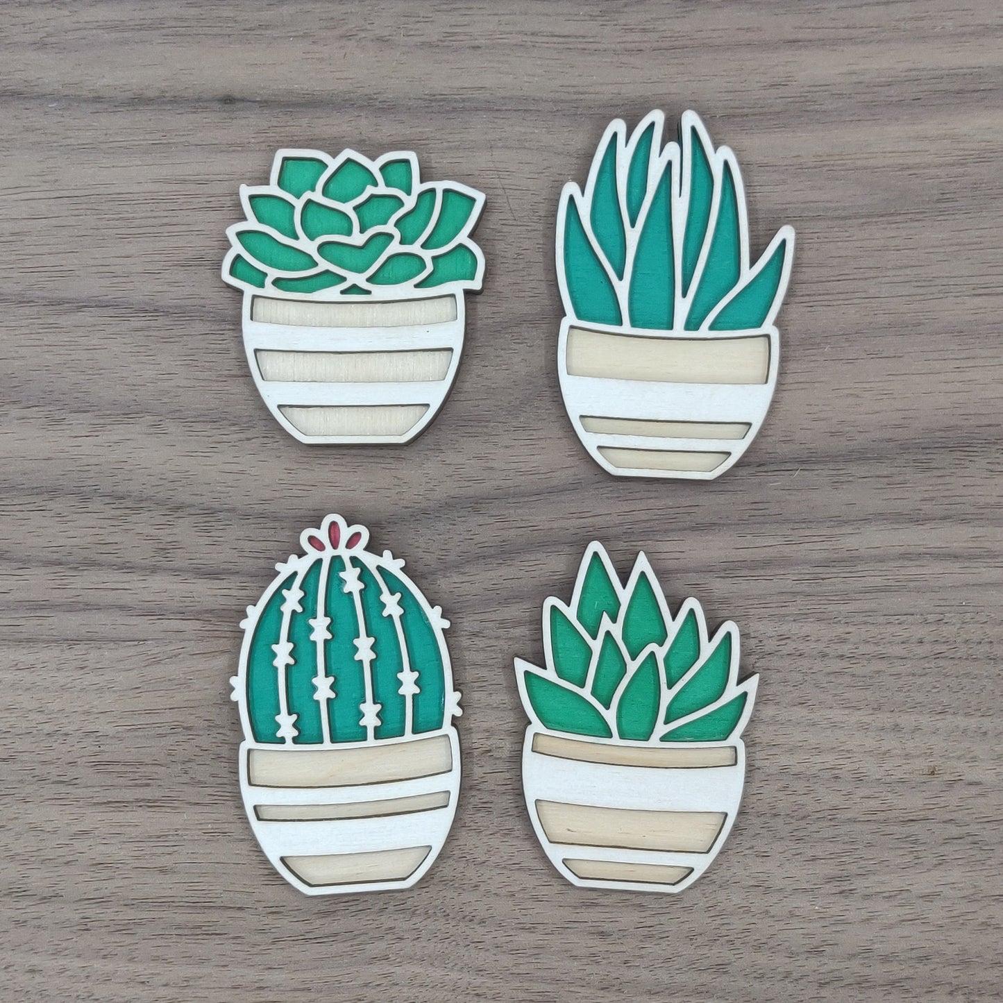 Succulent Magnets, Set of 4